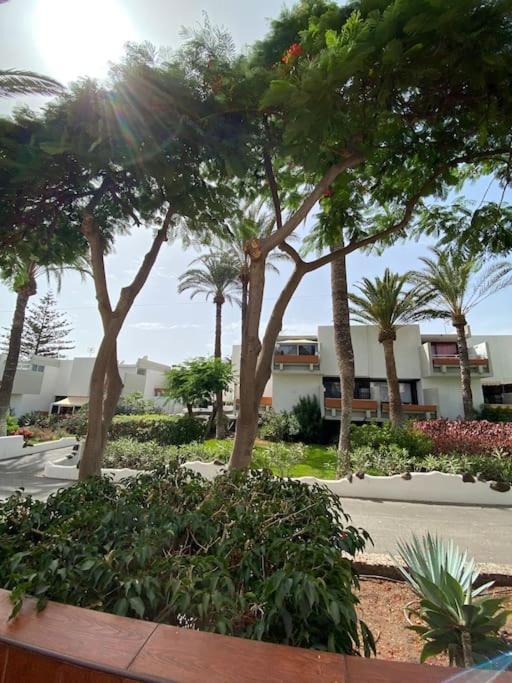 ארונה Apartamento Deniz Sur - Ten Bel מראה חיצוני תמונה